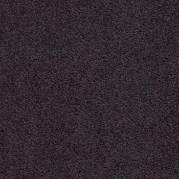 T371650 T371650